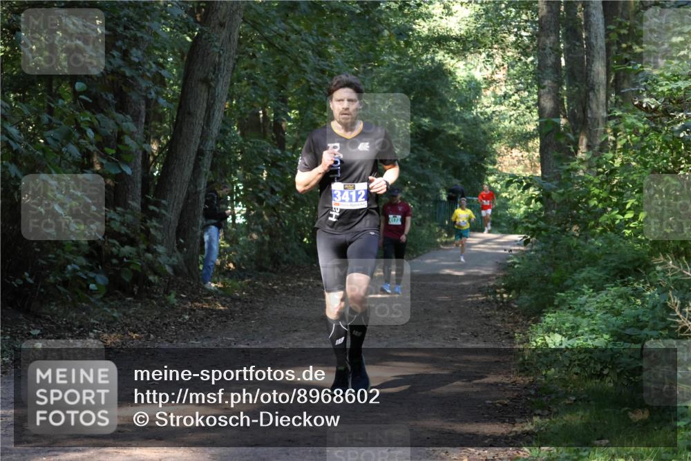 28.09.2025 - 33. Volkslauf durch das schöne Alstertal Strokosch-Dieckow http://msf.ph/oto/8968602 28.09.2025 11:09:46 Laufen 3412, 4172 meine-sportfotos.de