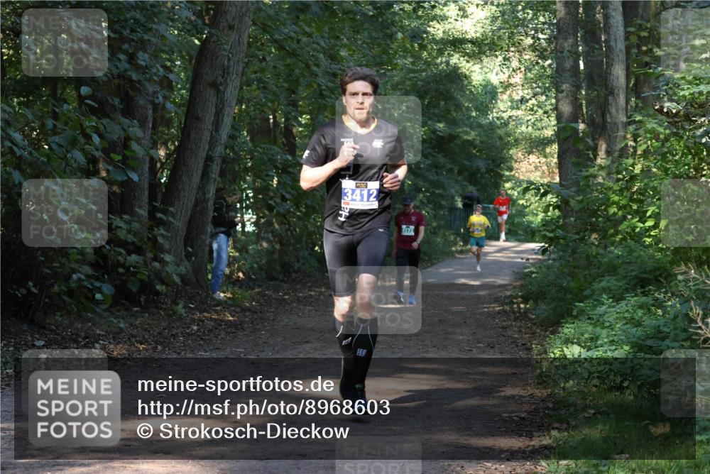 28.09.2025 - 33. Volkslauf durch das schöne Alstertal Strokosch-Dieckow http://msf.ph/oto/8968603 28.09.2025 11:09:46 Laufen 3412, 4172 meine-sportfotos.de