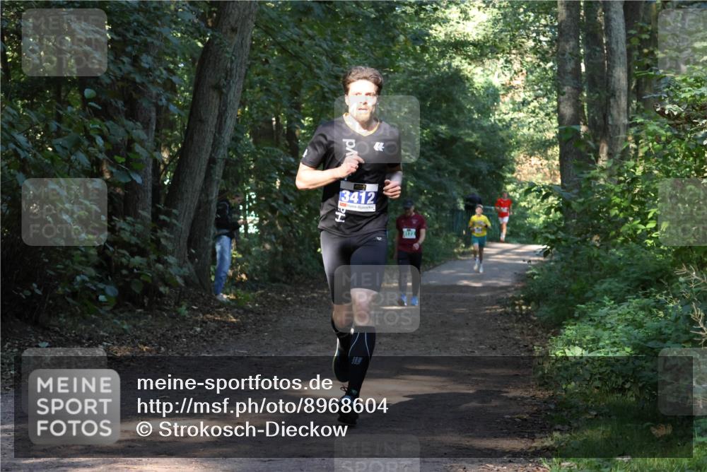 28.09.2025 - 33. Volkslauf durch das schöne Alstertal Strokosch-Dieckow http://msf.ph/oto/8968604 28.09.2025 11:09:46 Laufen 3412 meine-sportfotos.de