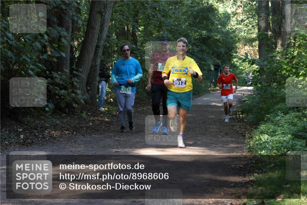 28.09.2025 - 33. Volkslauf durch das schöne Alstertal Strokosch-Dieckow http://msf.ph/oto/8968606 28.09.2025 11:09:57 Laufen 4143, 3912, 3330 meine-sportfotos.de