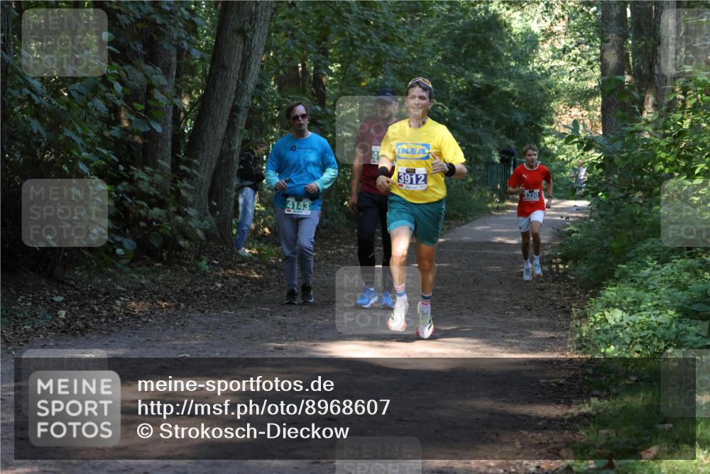 28.09.2025 - 33. Volkslauf durch das schöne Alstertal Strokosch-Dieckow http://msf.ph/oto/8968607 28.09.2025 11:09:57 Laufen 4143, 3912, 3330 meine-sportfotos.de