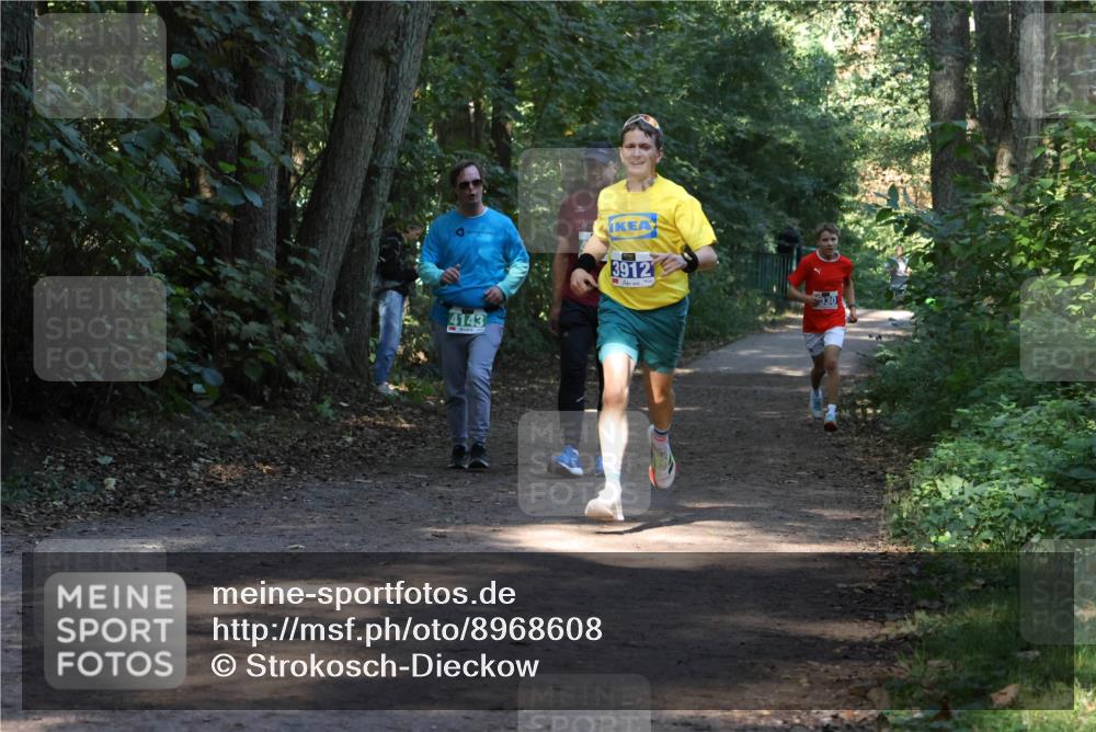 28.09.2025 - 33. Volkslauf durch das schöne Alstertal Strokosch-Dieckow http://msf.ph/oto/8968608 28.09.2025 11:09:57 Laufen 4143, 3912, 330 meine-sportfotos.de