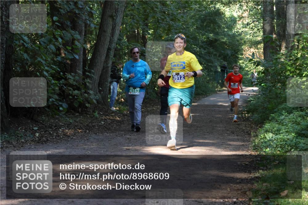 28.09.2025 - 33. Volkslauf durch das schöne Alstertal Strokosch-Dieckow http://msf.ph/oto/8968609 28.09.2025 11:09:57 Laufen 4143, 3912, 3330 meine-sportfotos.de