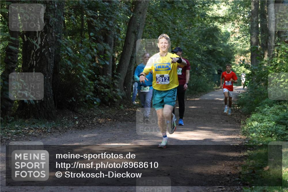 28.09.2025 - 33. Volkslauf durch das schöne Alstertal Strokosch-Dieckow http://msf.ph/oto/8968610 28.09.2025 11:09:58 Laufen 72, 4143, 3912 meine-sportfotos.de