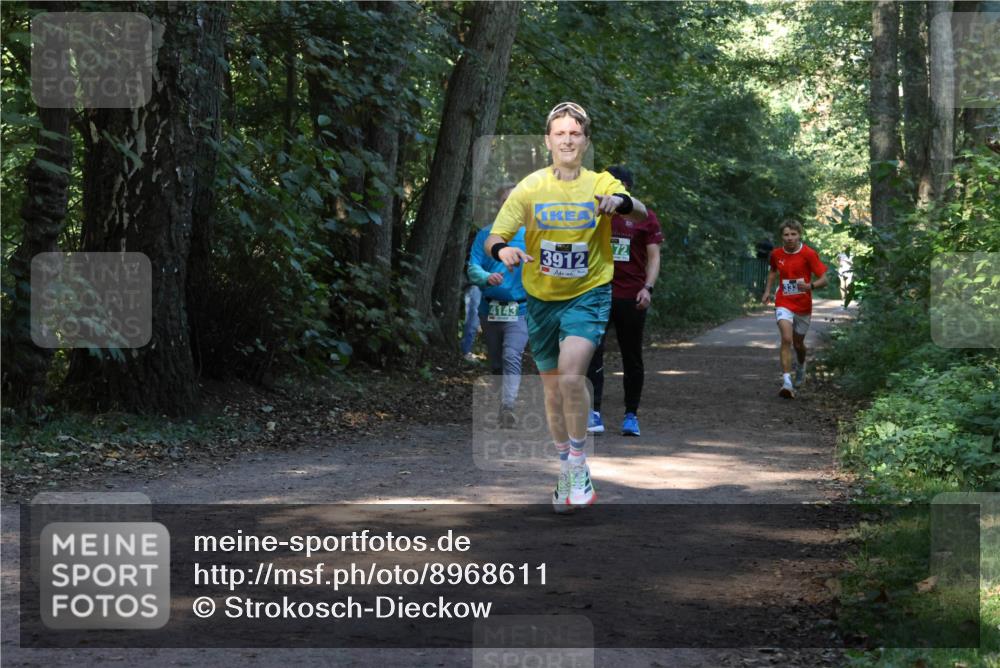 28.09.2025 - 33. Volkslauf durch das schöne Alstertal Strokosch-Dieckow http://msf.ph/oto/8968611 28.09.2025 11:09:58 Laufen 4143, 3912, 72 meine-sportfotos.de