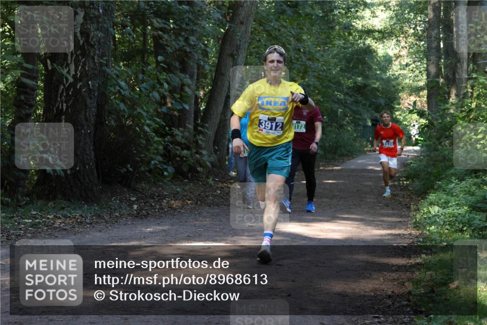 28.09.2025 - 33. Volkslauf durch das schöne Alstertal Strokosch-Dieckow http://msf.ph/oto/8968613 28.09.2025 11:09:58 Laufen 3912, 172, 3330 meine-sportfotos.de