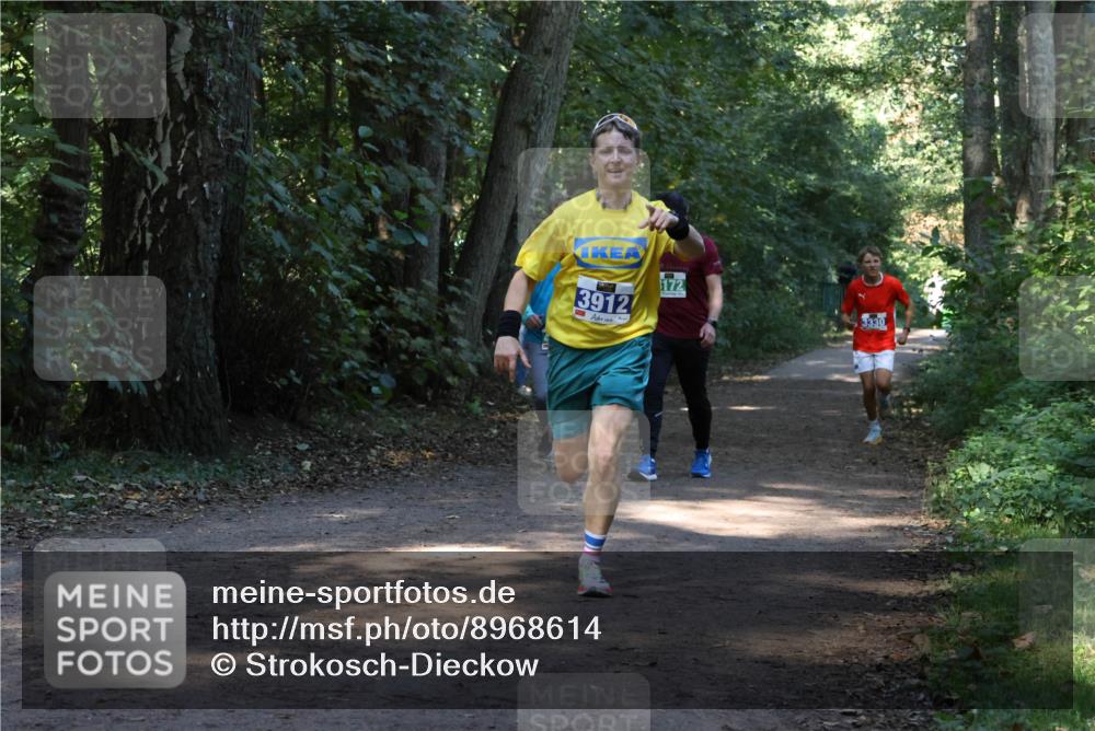 28.09.2025 - 33. Volkslauf durch das schöne Alstertal Strokosch-Dieckow http://msf.ph/oto/8968614 28.09.2025 11:09:58 Laufen 3912, 172, 3330 meine-sportfotos.de