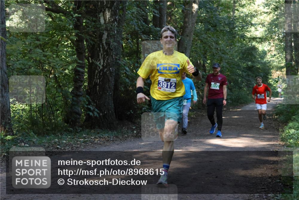 28.09.2025 - 33. Volkslauf durch das schöne Alstertal Strokosch-Dieckow http://msf.ph/oto/8968615 28.09.2025 11:09:59 Laufen 3912, 4172, 3330 meine-sportfotos.de