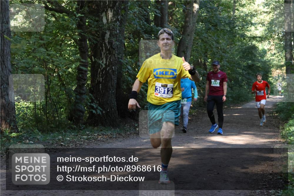 28.09.2025 - 33. Volkslauf durch das schöne Alstertal Strokosch-Dieckow http://msf.ph/oto/8968616 28.09.2025 11:09:59 Laufen 3912, 143, 4172, 3330 meine-sportfotos.de
