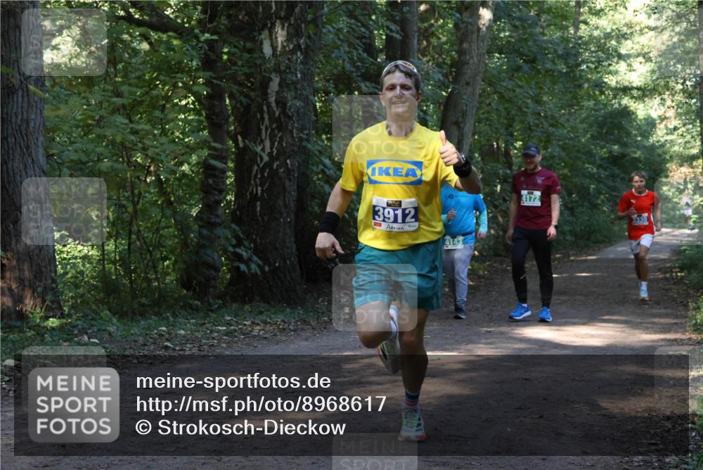 28.09.2025 - 33. Volkslauf durch das schöne Alstertal Strokosch-Dieckow http://msf.ph/oto/8968617 28.09.2025 11:09:59 Laufen 3912, 4143, 4172, 3330 meine-sportfotos.de