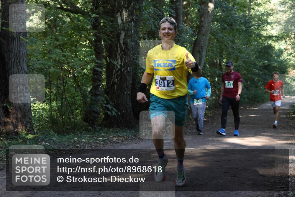 28.09.2025 - 33. Volkslauf durch das schöne Alstertal Strokosch-Dieckow http://msf.ph/oto/8968618 28.09.2025 11:09:59 Laufen 3912, 4143, 4172 meine-sportfotos.de