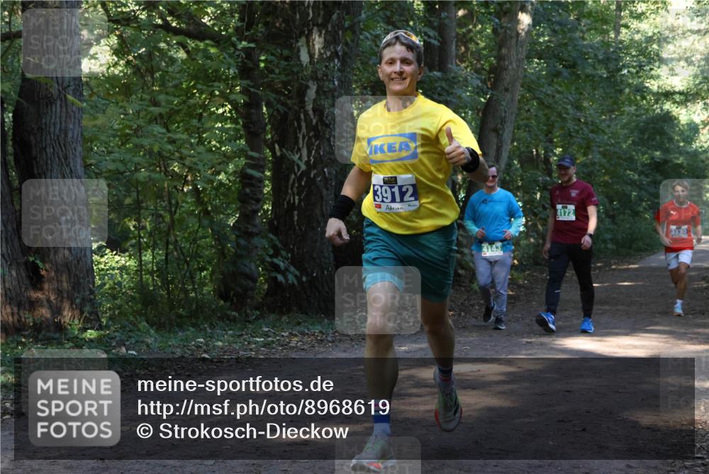 28.09.2025 - 33. Volkslauf durch das schöne Alstertal Strokosch-Dieckow http://msf.ph/oto/8968619 28.09.2025 11:09:59 Laufen 3912, 4143, 4172, 3330 meine-sportfotos.de
