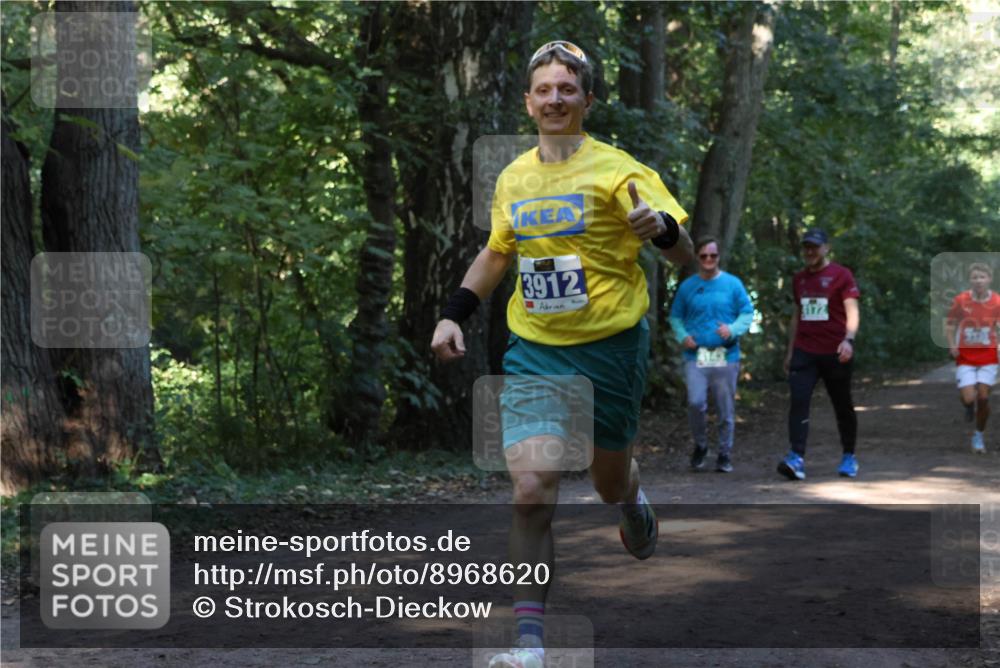 28.09.2025 - 33. Volkslauf durch das schöne Alstertal Strokosch-Dieckow http://msf.ph/oto/8968620 28.09.2025 11:09:59 Laufen 3912, 172 meine-sportfotos.de