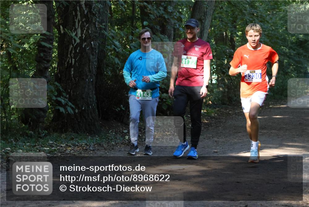 28.09.2025 - 33. Volkslauf durch das schöne Alstertal Strokosch-Dieckow http://msf.ph/oto/8968622 28.09.2025 11:10:01 Laufen 10, 4172, 4143, 3, 3330 meine-sportfotos.de