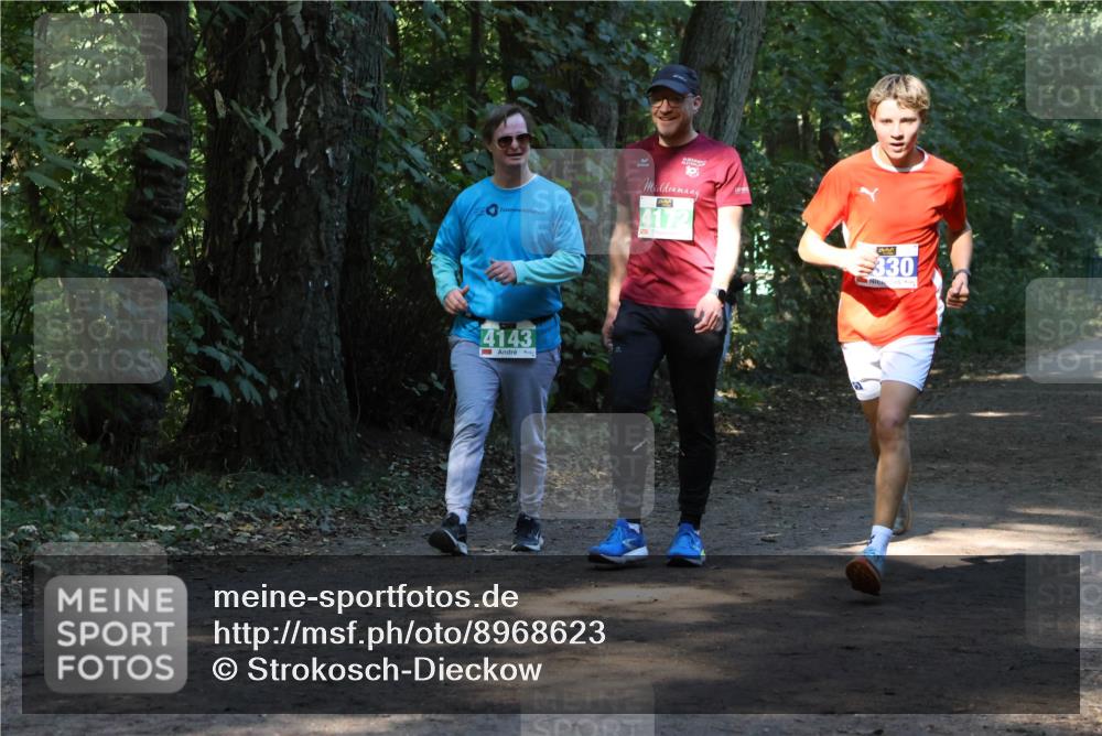 28.09.2025 - 33. Volkslauf durch das schöne Alstertal Strokosch-Dieckow http://msf.ph/oto/8968623 28.09.2025 11:10:01 Laufen 19, 4172, 4143, 330 meine-sportfotos.de