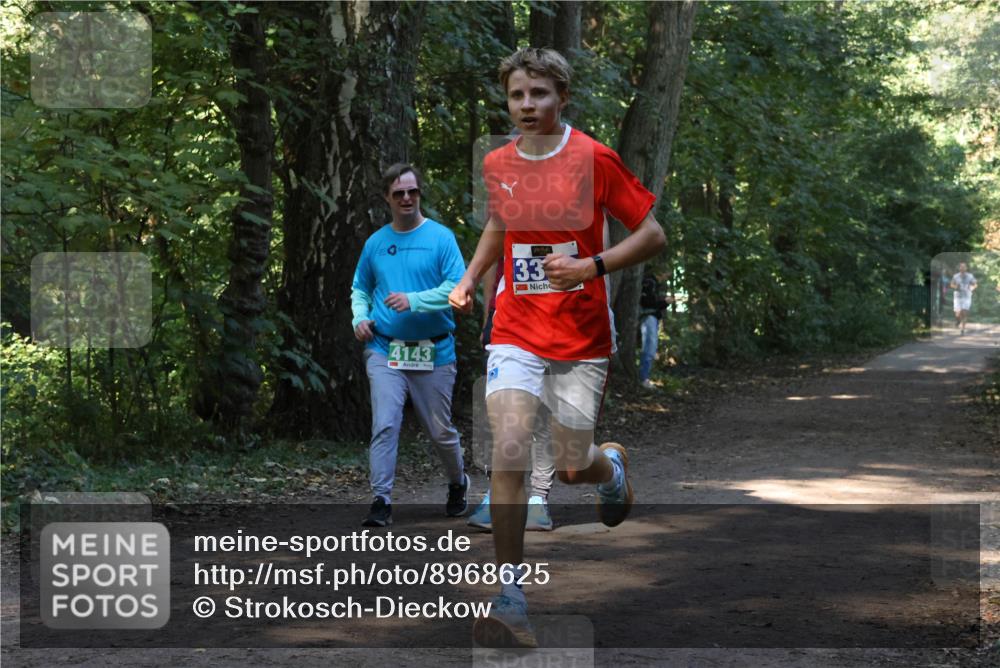 28.09.2025 - 33. Volkslauf durch das schöne Alstertal Strokosch-Dieckow http://msf.ph/oto/8968625 28.09.2025 11:10:02 Laufen 4143, 33 meine-sportfotos.de