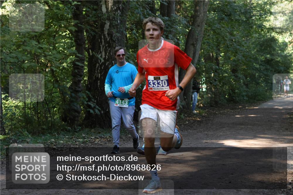 28.09.2025 - 33. Volkslauf durch das schöne Alstertal Strokosch-Dieckow http://msf.ph/oto/8968626 28.09.2025 11:10:02 Laufen 4143, 3330 meine-sportfotos.de