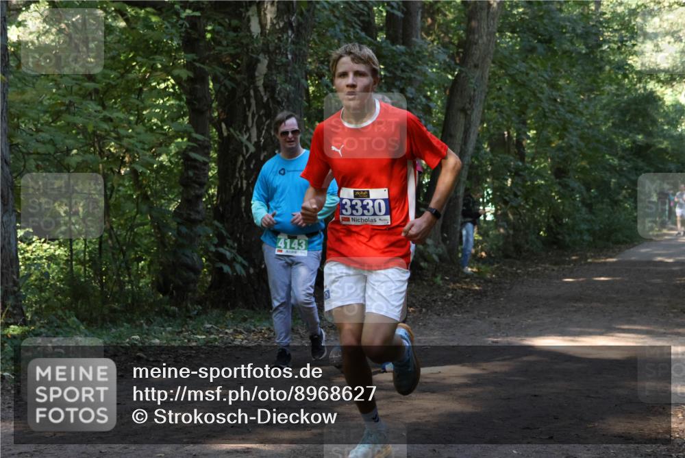 28.09.2025 - 33. Volkslauf durch das schöne Alstertal Strokosch-Dieckow http://msf.ph/oto/8968627 28.09.2025 11:10:02 Laufen 4143, 3330 meine-sportfotos.de