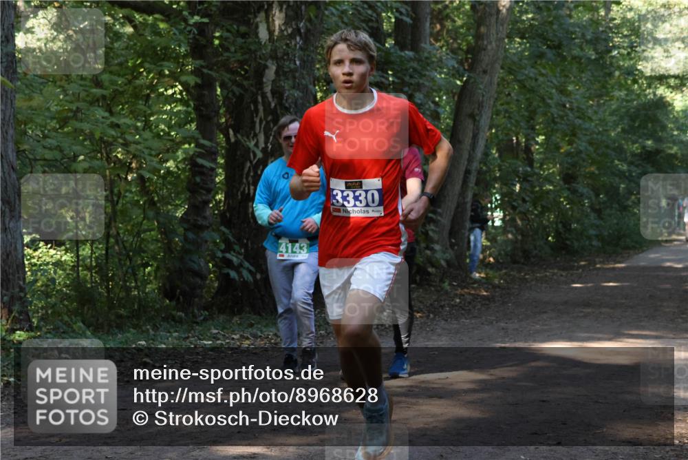28.09.2025 - 33. Volkslauf durch das schöne Alstertal Strokosch-Dieckow http://msf.ph/oto/8968628 28.09.2025 11:10:02 Laufen 4143, 3330 meine-sportfotos.de
