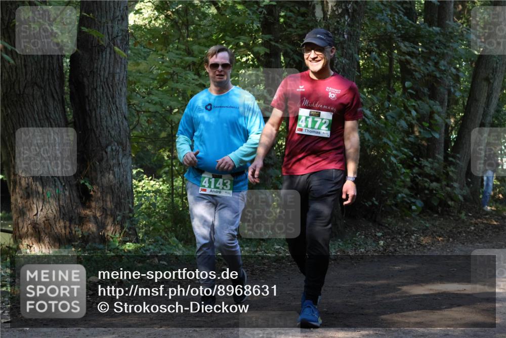 28.09.2025 - 33. Volkslauf durch das schöne Alstertal Strokosch-Dieckow http://msf.ph/oto/8968631 28.09.2025 11:10:04 Laufen 4143, 30, 10, 4172 meine-sportfotos.de