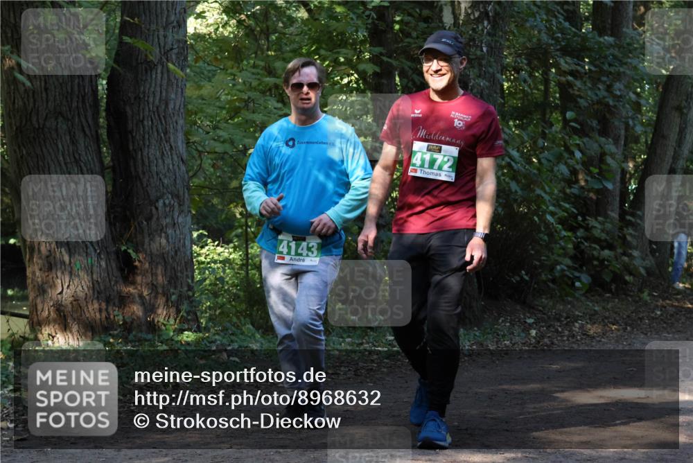 28.09.2025 - 33. Volkslauf durch das schöne Alstertal Strokosch-Dieckow http://msf.ph/oto/8968632 28.09.2025 11:10:04 Laufen 4143, 10, 4172 meine-sportfotos.de