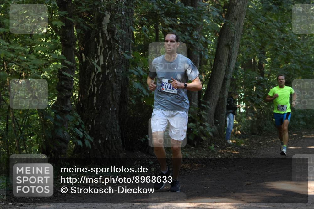 28.09.2025 - 33. Volkslauf durch das schöne Alstertal Strokosch-Dieckow http://msf.ph/oto/8968633 28.09.2025 11:10:16 Laufen 301, 3075 meine-sportfotos.de