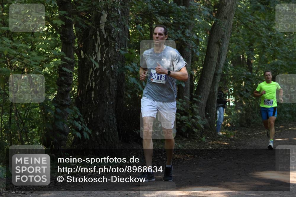 28.09.2025 - 33. Volkslauf durch das schöne Alstertal Strokosch-Dieckow http://msf.ph/oto/8968634 28.09.2025 11:10:16 Laufen 3018, 3075 meine-sportfotos.de