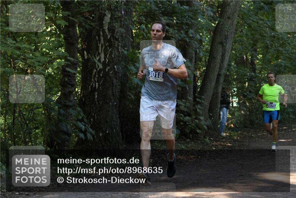 28.09.2025 - 33. Volkslauf durch das schöne Alstertal Strokosch-Dieckow http://msf.ph/oto/8968635 28.09.2025 11:10:17 Laufen 3018, 3075 meine-sportfotos.de