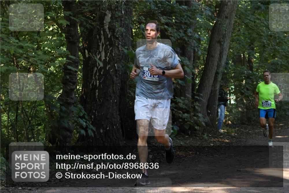 28.09.2025 - 33. Volkslauf durch das schöne Alstertal Strokosch-Dieckow http://msf.ph/oto/8968636 28.09.2025 11:10:17 Laufen 3075 meine-sportfotos.de
