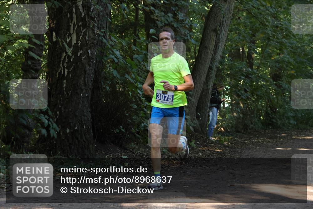 28.09.2025 - 33. Volkslauf durch das schöne Alstertal Strokosch-Dieckow http://msf.ph/oto/8968637 28.09.2025 11:10:19 Laufen 3075 meine-sportfotos.de