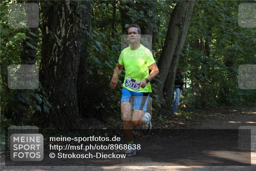 28.09.2025 - 33. Volkslauf durch das schöne Alstertal Strokosch-Dieckow http://msf.ph/oto/8968638 28.09.2025 11:10:19 Laufen 3075 meine-sportfotos.de