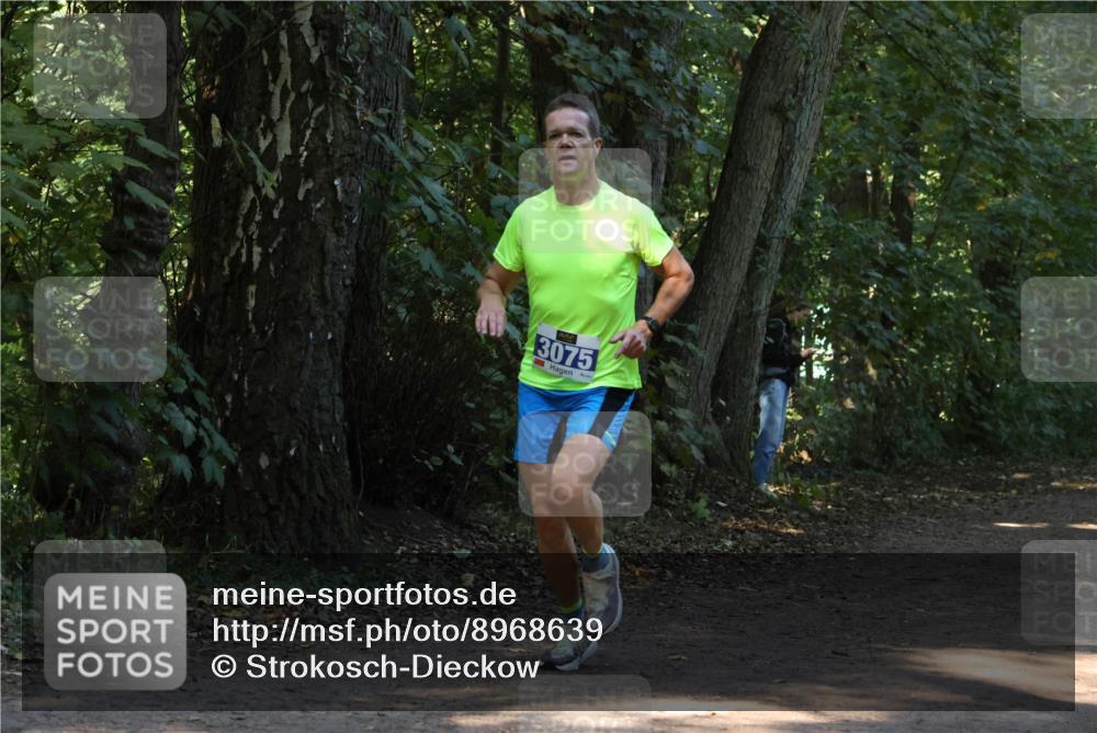 28.09.2025 - 33. Volkslauf durch das schöne Alstertal Strokosch-Dieckow http://msf.ph/oto/8968639 28.09.2025 11:10:19 Laufen 3075 meine-sportfotos.de