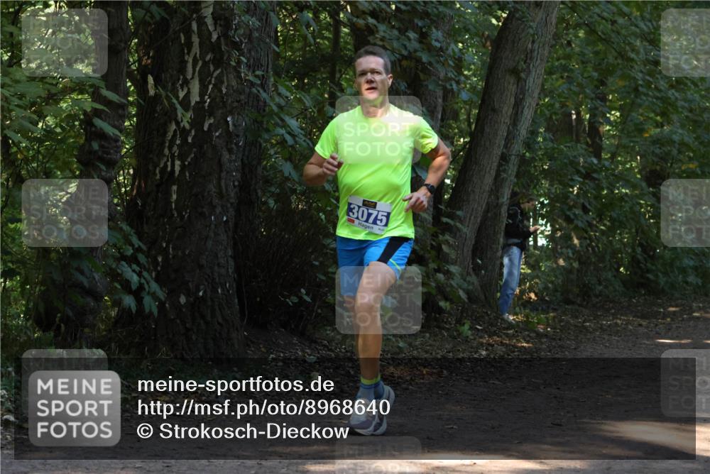 28.09.2025 - 33. Volkslauf durch das schöne Alstertal Strokosch-Dieckow http://msf.ph/oto/8968640 28.09.2025 11:10:19 Laufen 3075 meine-sportfotos.de