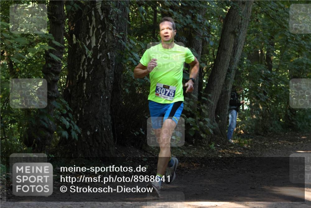 28.09.2025 - 33. Volkslauf durch das schöne Alstertal Strokosch-Dieckow http://msf.ph/oto/8968641 28.09.2025 11:10:19 Laufen 3075 meine-sportfotos.de
