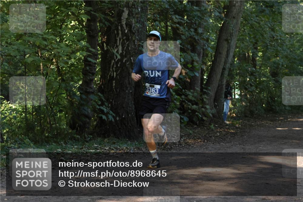 28.09.2025 - 33. Volkslauf durch das schöne Alstertal Strokosch-Dieckow http://msf.ph/oto/8968645 28.09.2025 11:10:39 Laufen 3363 meine-sportfotos.de