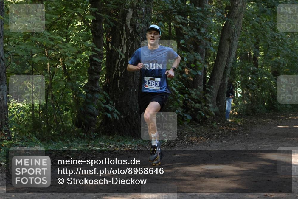 28.09.2025 - 33. Volkslauf durch das schöne Alstertal Strokosch-Dieckow http://msf.ph/oto/8968646 28.09.2025 11:10:39 Laufen 3363 meine-sportfotos.de