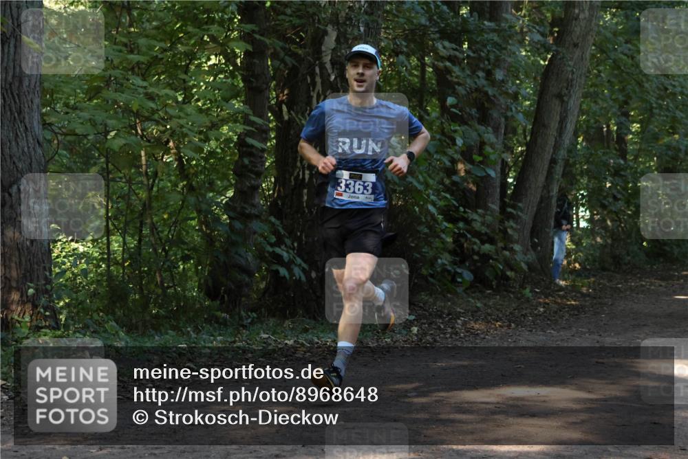 28.09.2025 - 33. Volkslauf durch das schöne Alstertal Strokosch-Dieckow http://msf.ph/oto/8968648 28.09.2025 11:10:40 Laufen 3363 meine-sportfotos.de