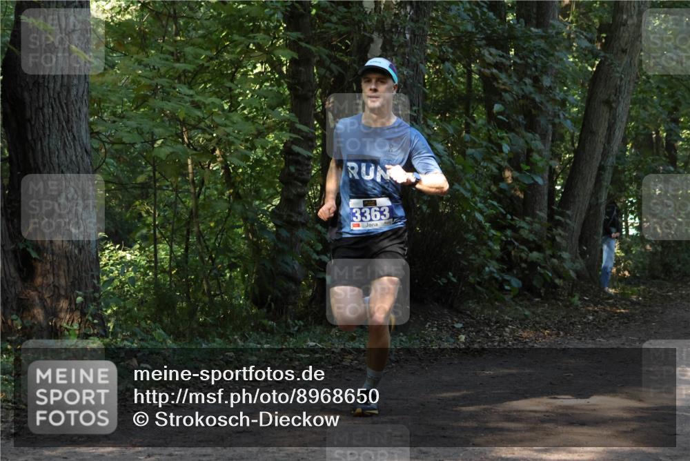 28.09.2025 - 33. Volkslauf durch das schöne Alstertal Strokosch-Dieckow http://msf.ph/oto/8968650 28.09.2025 11:10:40 Laufen 3363 meine-sportfotos.de