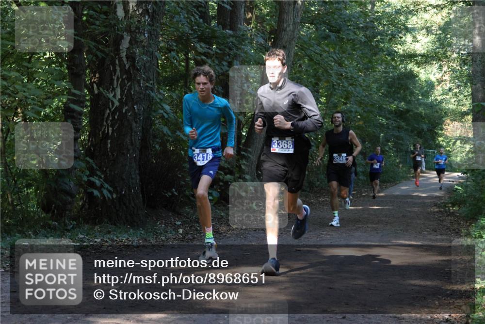28.09.2025 - 33. Volkslauf durch das schöne Alstertal Strokosch-Dieckow http://msf.ph/oto/8968651 28.09.2025 11:10:57 Laufen 3416, 3368, 3349 meine-sportfotos.de
