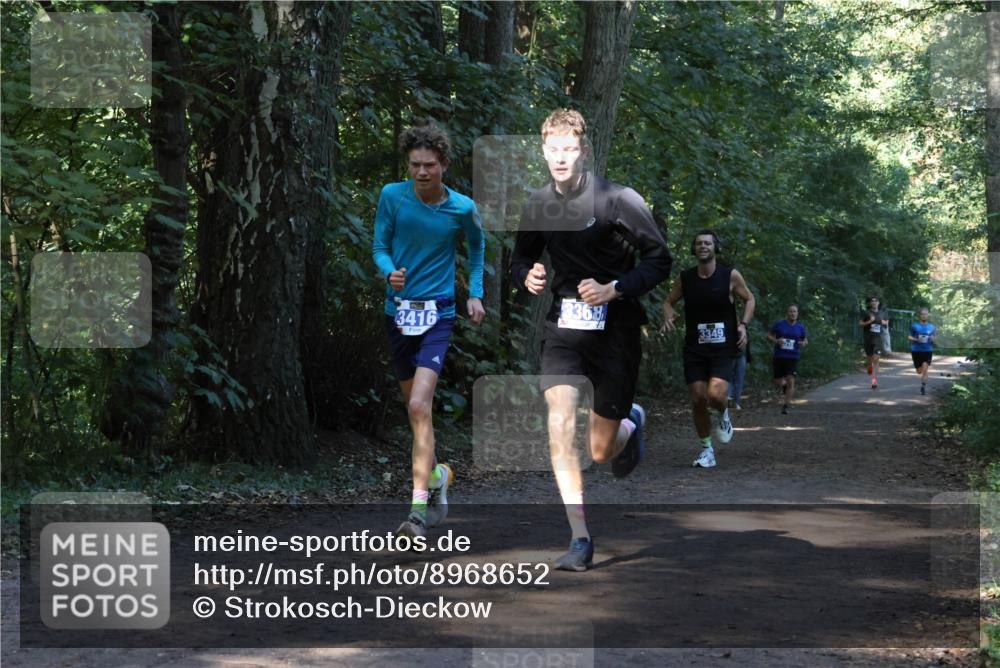 28.09.2025 - 33. Volkslauf durch das schöne Alstertal Strokosch-Dieckow http://msf.ph/oto/8968652 28.09.2025 11:10:57 Laufen 3416, 3368, 3349 meine-sportfotos.de
