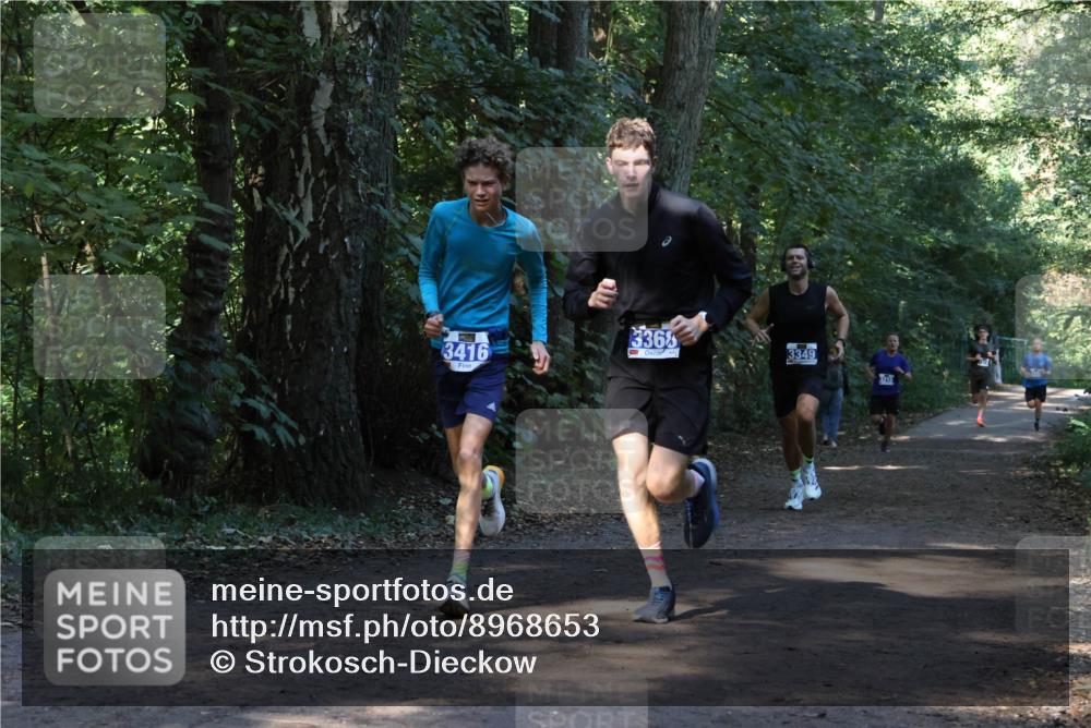 28.09.2025 - 33. Volkslauf durch das schöne Alstertal Strokosch-Dieckow http://msf.ph/oto/8968653 28.09.2025 11:10:58 Laufen 3416, 3368, 3349 meine-sportfotos.de