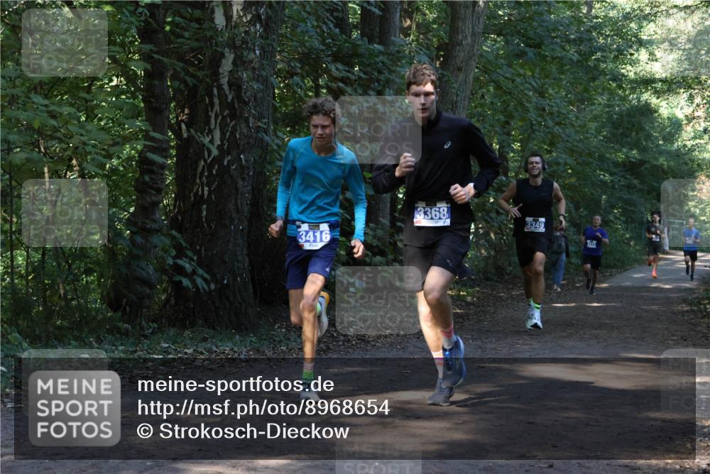 28.09.2025 - 33. Volkslauf durch das schöne Alstertal Strokosch-Dieckow http://msf.ph/oto/8968654 28.09.2025 11:10:58 Laufen 3416, 3368, 7, 3349 meine-sportfotos.de