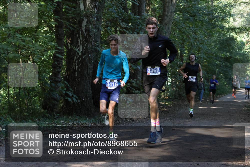 28.09.2025 - 33. Volkslauf durch das schöne Alstertal Strokosch-Dieckow http://msf.ph/oto/8968655 28.09.2025 11:10:58 Laufen 3416, 3368, 3349 meine-sportfotos.de