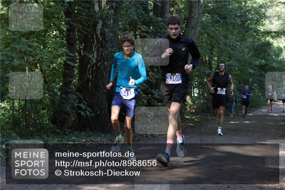 28.09.2025 - 33. Volkslauf durch das schöne Alstertal Strokosch-Dieckow http://msf.ph/oto/8968656 28.09.2025 11:10:58 Laufen 3416, 3368, 3349 meine-sportfotos.de