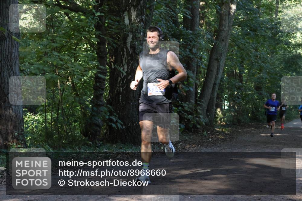 28.09.2025 - 33. Volkslauf durch das schöne Alstertal Strokosch-Dieckow http://msf.ph/oto/8968660 28.09.2025 11:11:00 Laufen 334 meine-sportfotos.de