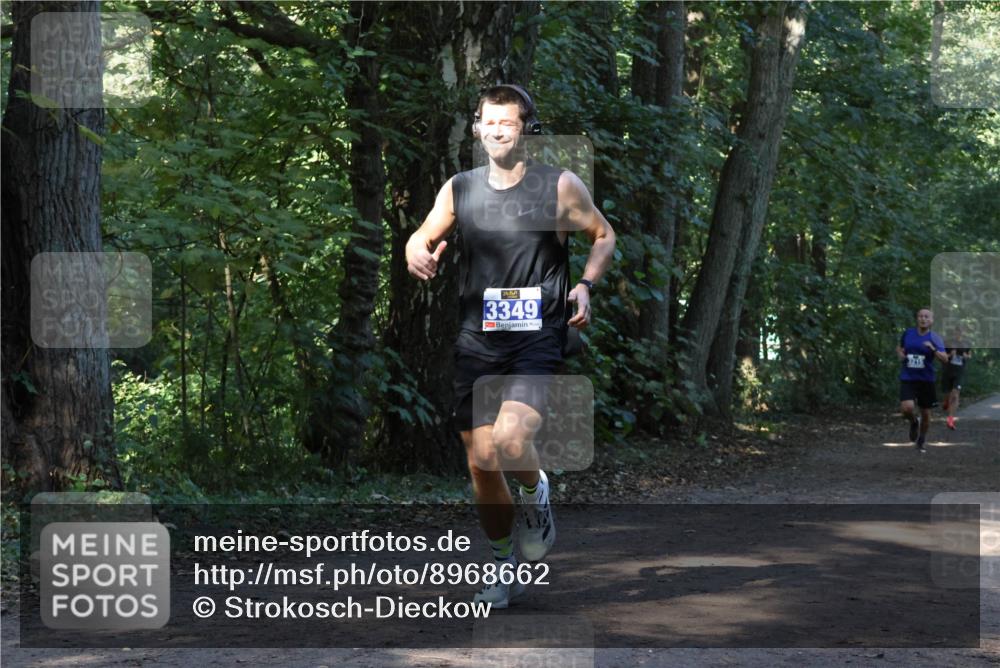 28.09.2025 - 33. Volkslauf durch das schöne Alstertal Strokosch-Dieckow http://msf.ph/oto/8968662 28.09.2025 11:11:00 Laufen 3349 meine-sportfotos.de