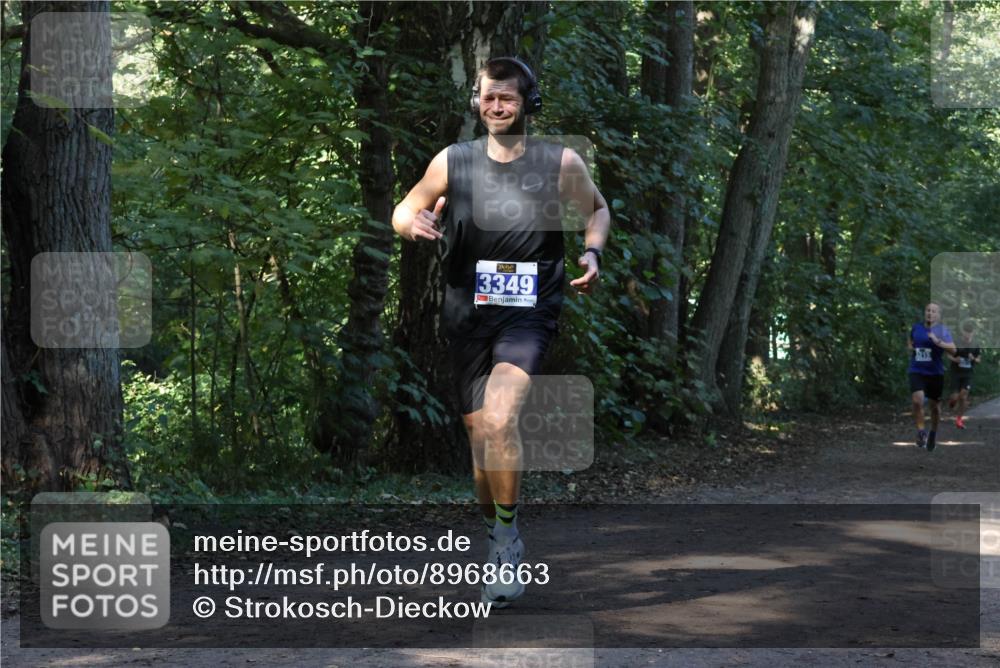 28.09.2025 - 33. Volkslauf durch das schöne Alstertal Strokosch-Dieckow http://msf.ph/oto/8968663 28.09.2025 11:11:00 Laufen 3349, 1215 meine-sportfotos.de