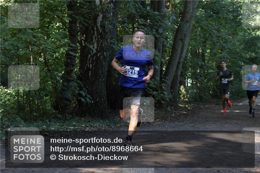 28.09.2025 - 33. Volkslauf durch das schöne Alstertal Strokosch-Dieckow http://msf.ph/oto/8968664 28.09.2025 11:11:05 Laufen 3215, 3374, 392 meine-sportfotos.de