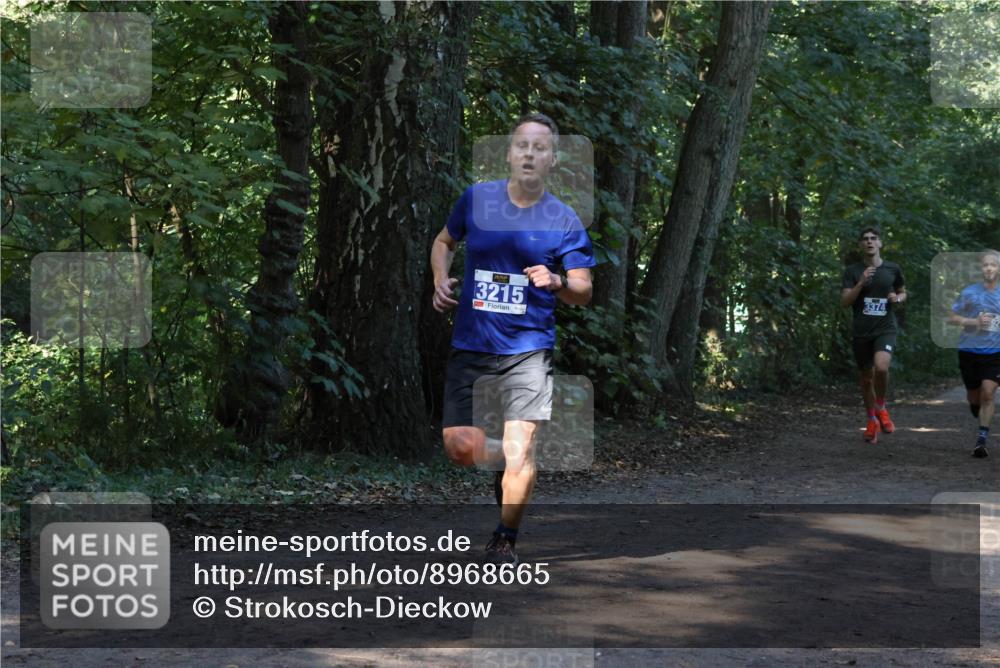 28.09.2025 - 33. Volkslauf durch das schöne Alstertal Strokosch-Dieckow http://msf.ph/oto/8968665 28.09.2025 11:11:05 Laufen 3215, 3374 meine-sportfotos.de
