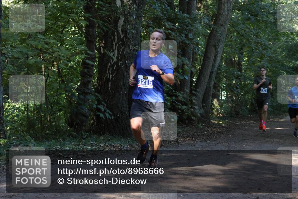 28.09.2025 - 33. Volkslauf durch das schöne Alstertal Strokosch-Dieckow http://msf.ph/oto/8968666 28.09.2025 11:11:05 Laufen 3215, 3374 meine-sportfotos.de